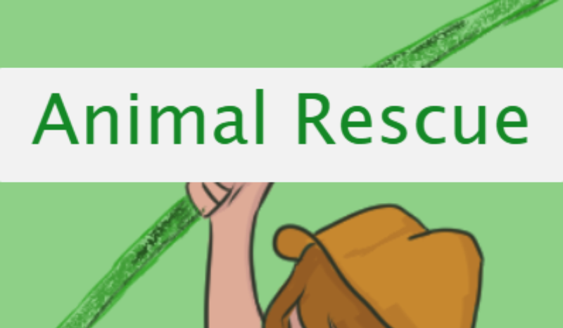 Animal Rescue Start page